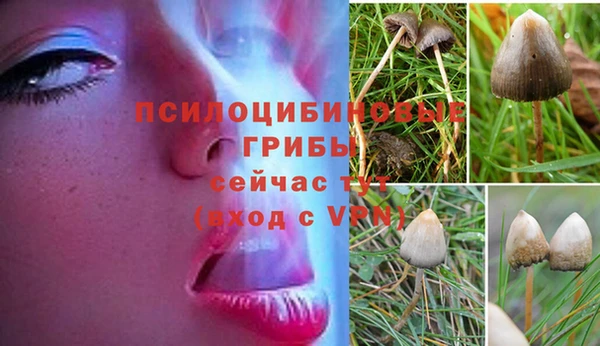 jwh Белокуриха