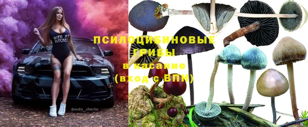 jwh Белокуриха