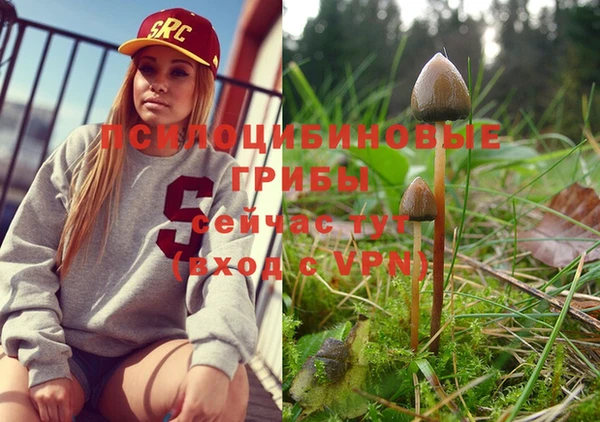 jwh Белокуриха